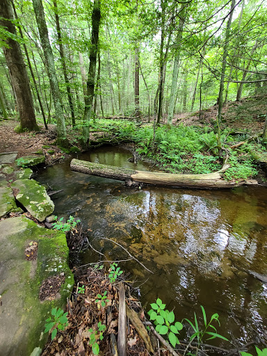 Nature Preserve «Mianus River Gorge Preserve», reviews and photos, 167 Mianus River Rd, Bedford, NY 10506, USA