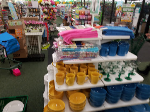 Dollar Store «Dollar Tree», reviews and photos, 13932 Manchester Rd, Ballwin, MO 63011, USA