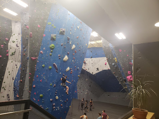 Shopping Mall «Crystal City Shops», reviews and photos, 2200 Crystal Dr, Arlington, VA 22202, USA