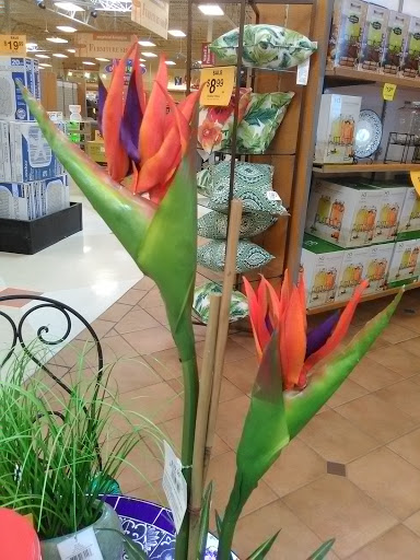 Grocery Store «Fred Meyer», reviews and photos, 1201 Valley Ave E, Sumner, WA 98390, USA