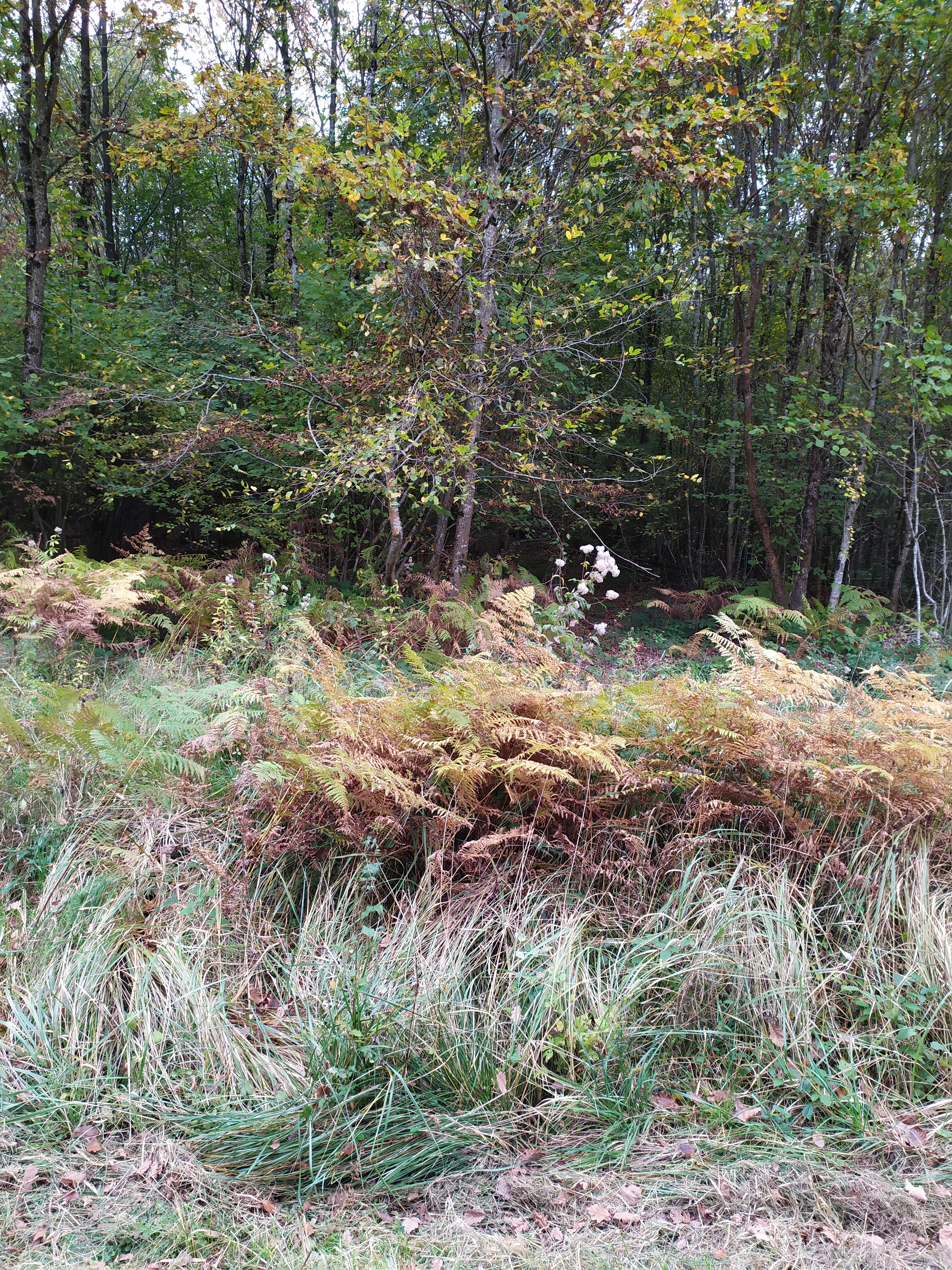 Photo n° 3 de l'avis de Sandrine.e fait le 05/11/2019 à 08:27