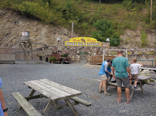 Resort «Smoke Hole Caverns», reviews and photos, 8290 N Fork Hwy, Cabins, WV 26855, USA