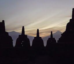 Javanava Travelcafe photo