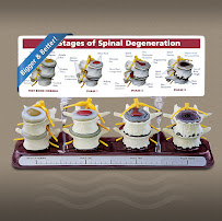 Back Talk Systems, Inc. - Photo 5 - Car repair in Lakewood, CO, Denver