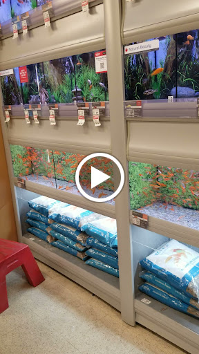 Pet Supply Store «PetSmart», reviews and photos, 2449 Laurens Rd, Greenville, SC 29607, USA