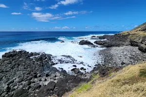 Kaʻena Point State Park image