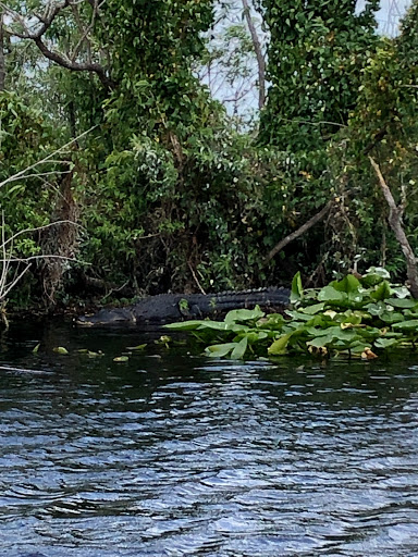 Boat Tour Agency «Alligators Unlimited Airboat Tours», reviews and photos, 14400 Reese Dr, Lake Wales, FL 33898, USA