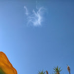 Photo n°3 de l'avis de Sara.i fait le 20/09/2022 à 11:15 sur le  Chiosco I Ginepri à Cea