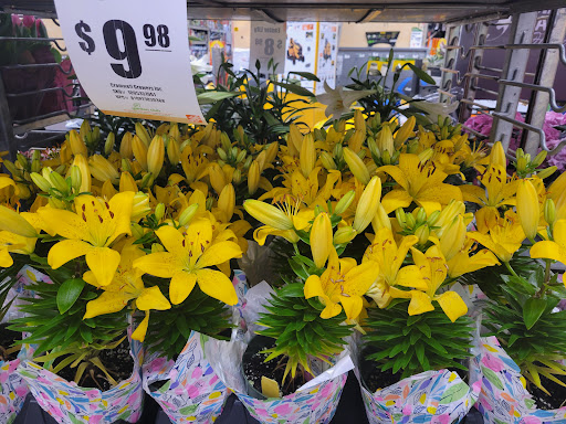 Home Improvement Store «The Home Depot», reviews and photos, 135 Commercial Rd, Leominster, MA 01453, USA