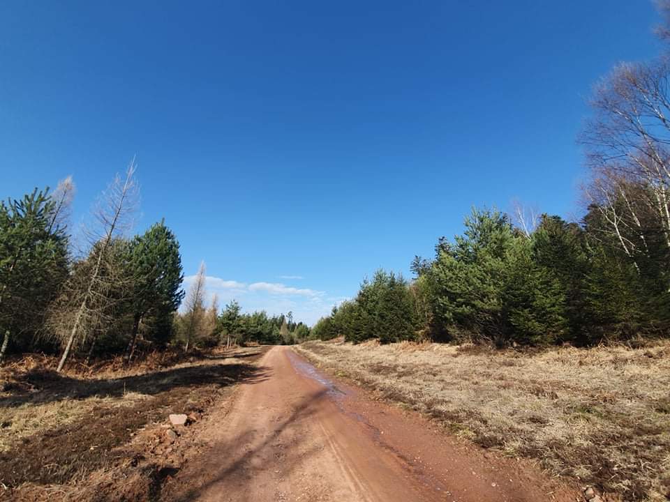 Photo n° 12 de l'avis de Magalie.a fait le 10/02/2020 à 19:38