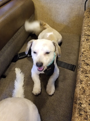 Pet Supply Store «Natural Pet Center», reviews and photos, 3037 13th Ave S, Fargo, ND 58103, USA