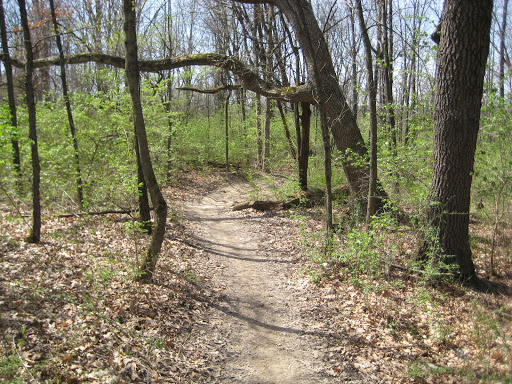 Nature Preserve «Pulaski Woods East», reviews and photos, 9600 Wolf Rd, Willow Springs, IL 60480, USA