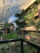 Barbican Conservatory