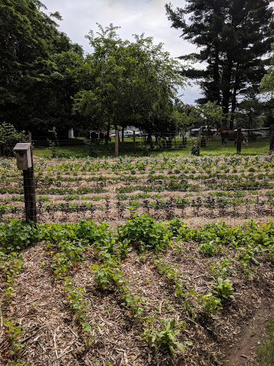 Garden Center «Southern Exposure», reviews and photos, 11269-N Dr North, Battle Creek, MI 49015, USA