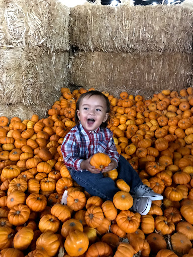 Buick Dealer «AutoNation Buick GMC Henderson», reviews and photos, 330 Old Gibson Rd, Henderson, NV 89014, USA