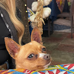 Photo n°1 de l'avis de Jeff.d fait le 07/05/2023 à 17:21 sur le  Kuttigghiu à Taormina