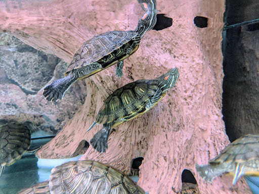 Pet Supply Store «Petco Animal Supplies», reviews and photos, 3300 Broadway St, Eureka, CA 95501, USA