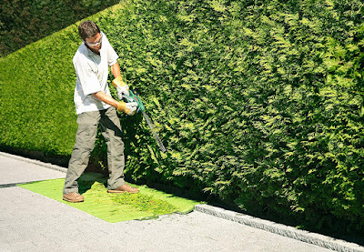 Jardinier à domicile Bordeaux - élagueur paysagiste à Bordeaux