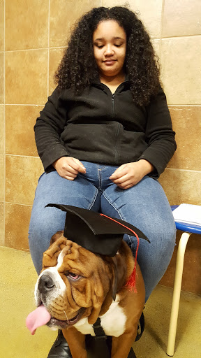 Pet Supply Store «PetSmart», reviews and photos, 187 Millburn Ave, Millburn, NJ 07041, USA