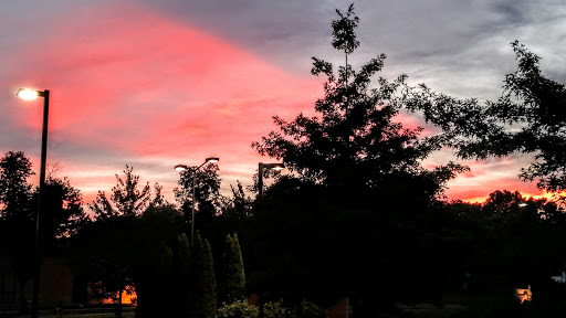 Grocery Store «Giant Food Stores», reviews and photos, 1153 N 5th St, Perkasie, PA 18944, USA