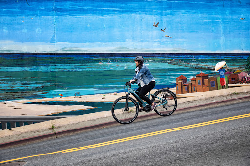 Mostly E-Bikes image