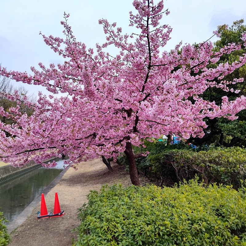 水島緑地福田公園