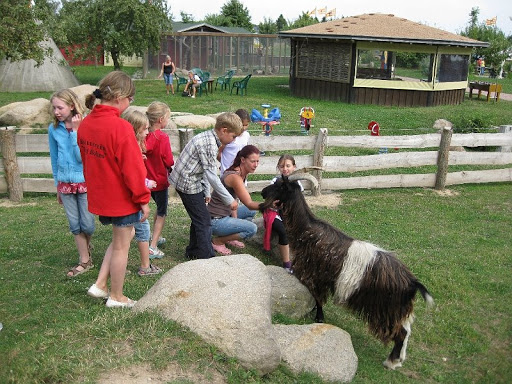 Dorothee Oesterreich Tierärztin unter Dummerstorf, Mecklenburg-Vorpommern