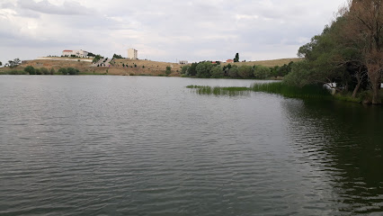Sarıyahşi Gölet