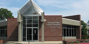 Augusta Valley Animal Hospital
