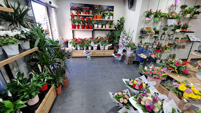 Monceau Fleurs à Drancy
