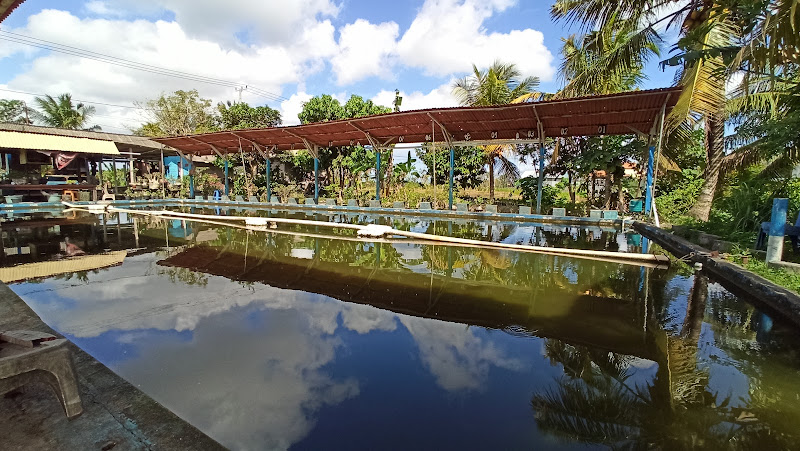 KOLAM LOTUS