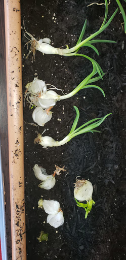 Hardware Store «Fairmount Hardware», reviews and photos, 2011 Fairmount Ave, Philadelphia, PA 19130, USA