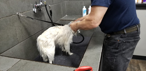 Pet Store «Pet Valu», reviews and photos, 511 S Oxford Valley Rd, Fairless Hills, PA 19030, USA