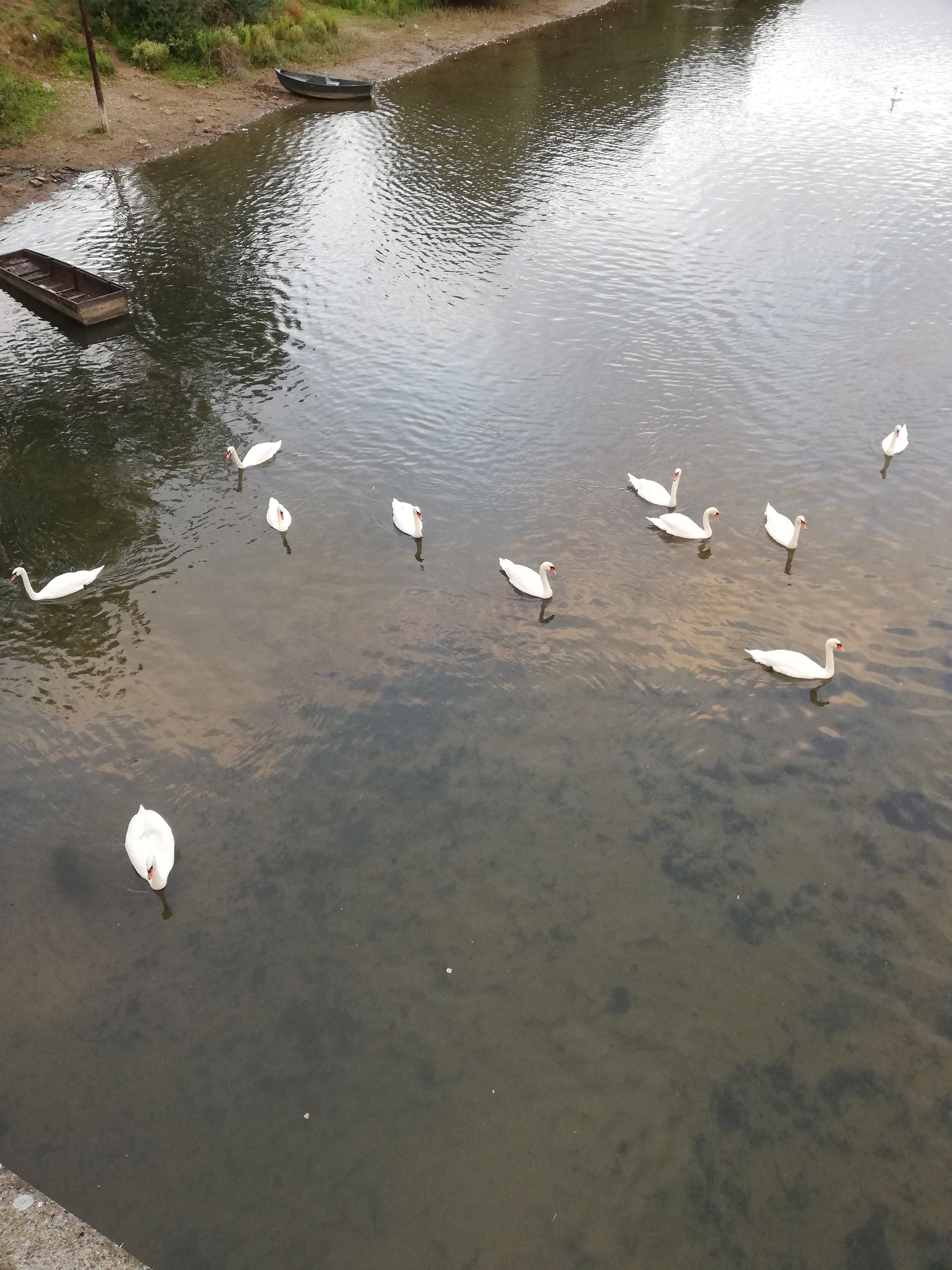 Photo n° 1 de l'avis de Flávio.o fait le 25/09/2019 à 10:11