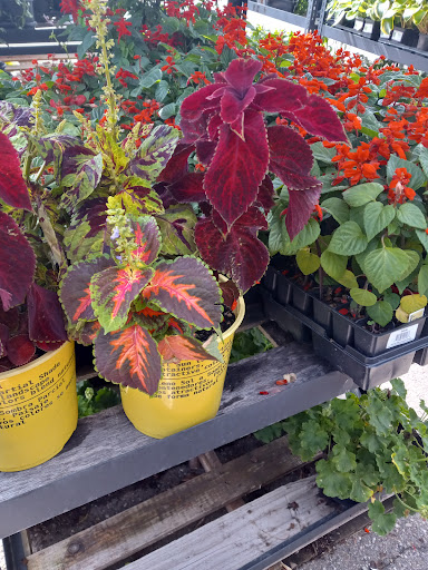 Department Store «Rural King», reviews and photos, 1203 Front Ave SW, New Philadelphia, OH 44663, USA