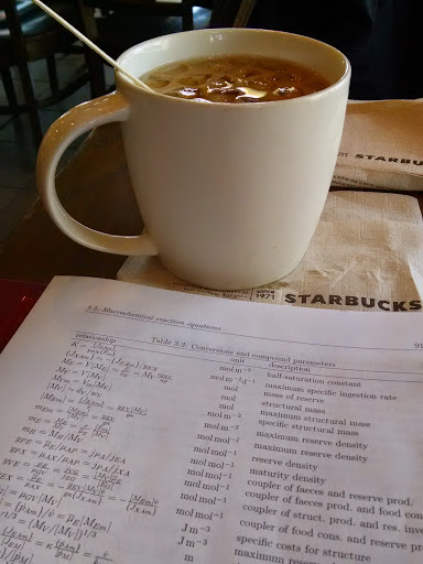 Coffee Shop «Starbucks», reviews and photos, 801 University Ave, Lubbock, TX 79401, USA