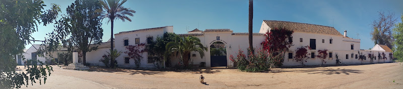 Bollullos de la Mitación