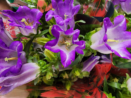 Grocery Store «Natural Market», reviews and photos, 7256 Austin St, Flushing, NY 11375, USA