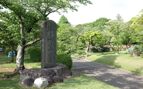 Gion Hill Castle Ruins image