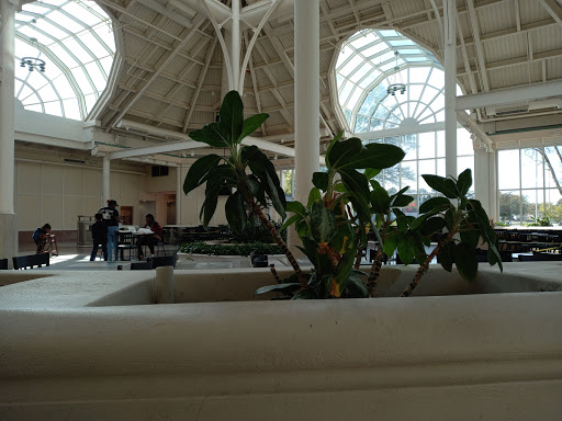 Shopping Mall «Northlake Mall», reviews and photos, 4800 Briarcliff Rd NE, Atlanta, GA 30345, USA