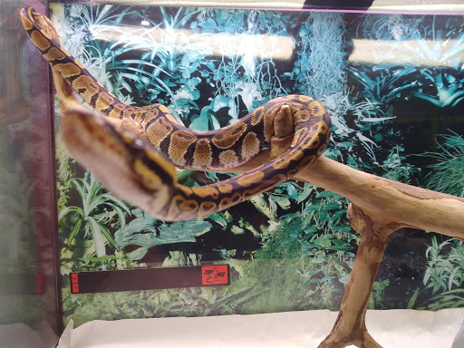 Pet Supply Store «Rutser Pet Store», reviews and photos, 5418 E Beverly Blvd, East Los Angeles, CA 90022, USA