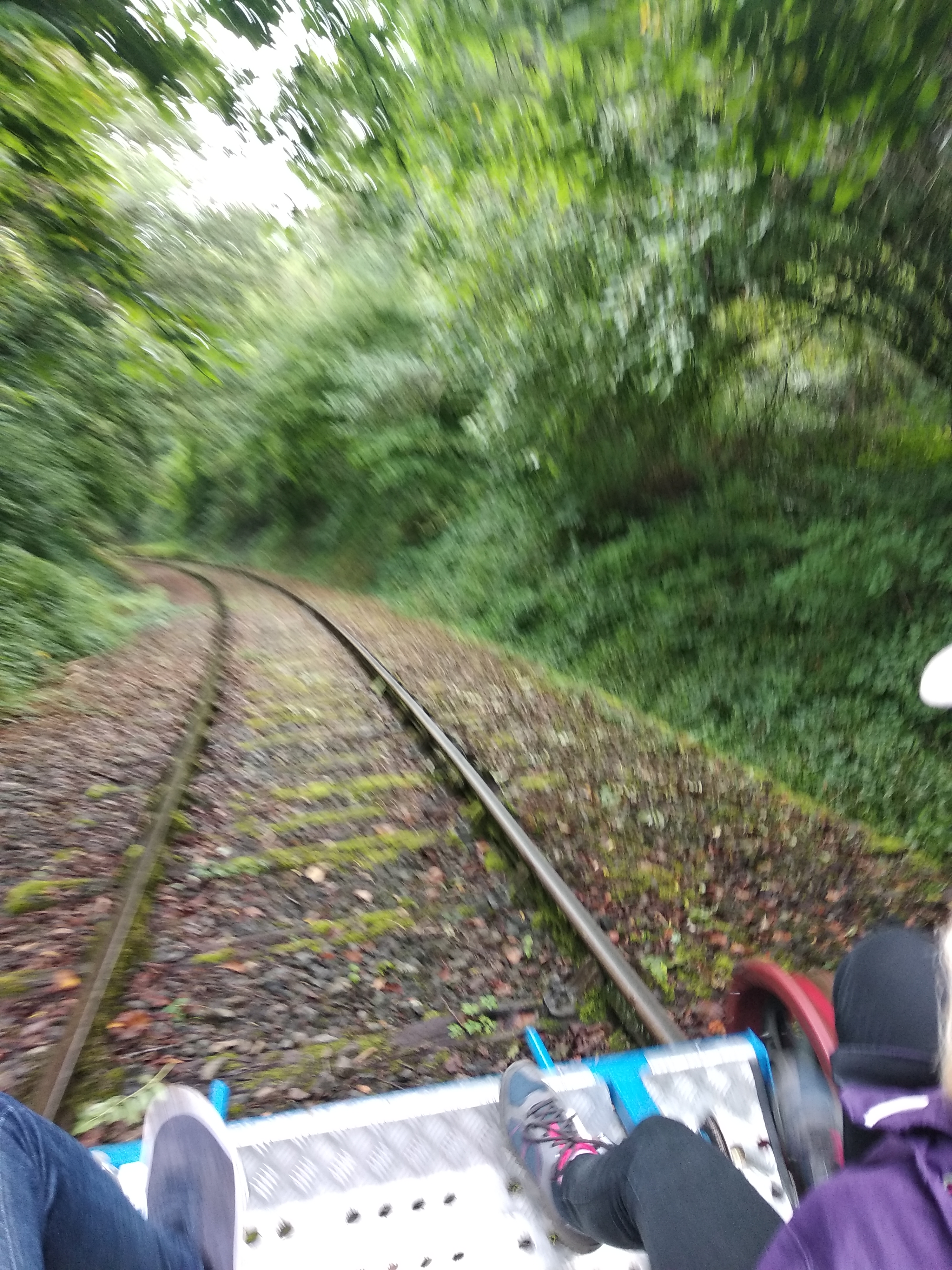 Photo n° 1 de l'avis de F.e fait le 11/09/2021 à 04:52