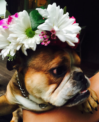 Florist «Petal and Crumb», reviews and photos, 86 Prospect St, Upton, MA 01568, USA