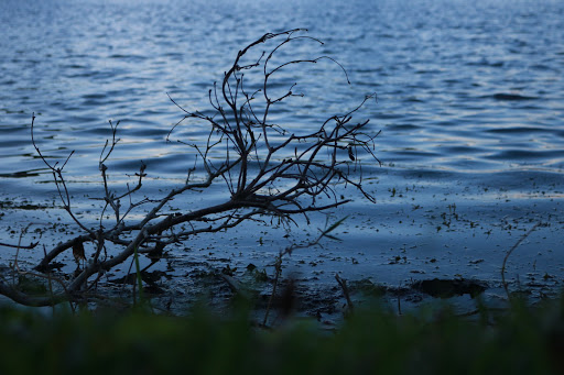 Performing Arts Theater «The Township Community Master Association Inc», reviews and photos, 2452 Lyons Rd, Pompano Beach, FL 33063, USA