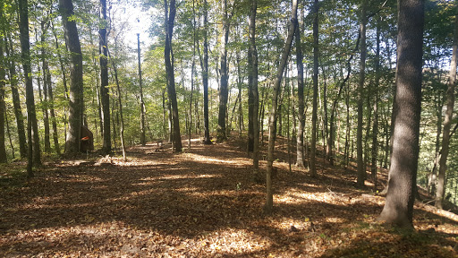 Tourist Attraction «Adventureworks Nashville West (Kingston Springs)», reviews and photos, 1300 Narrows of the Harpeth Rd, Kingston Springs, TN 37082, USA