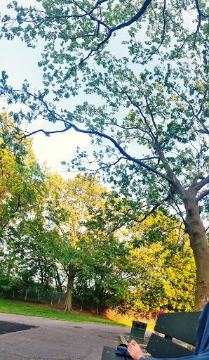 Park «John J. Carty Park», reviews and photos, Fort Hamilton Pkwy, Brooklyn, NY 11209, USA
