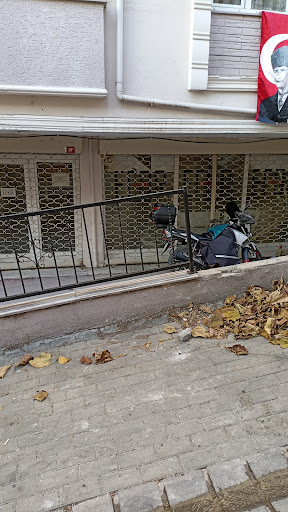 Petvilla Akvaryum | Avcılar İstanbul - Evcil Hayvan Malzemeleri Mağazası