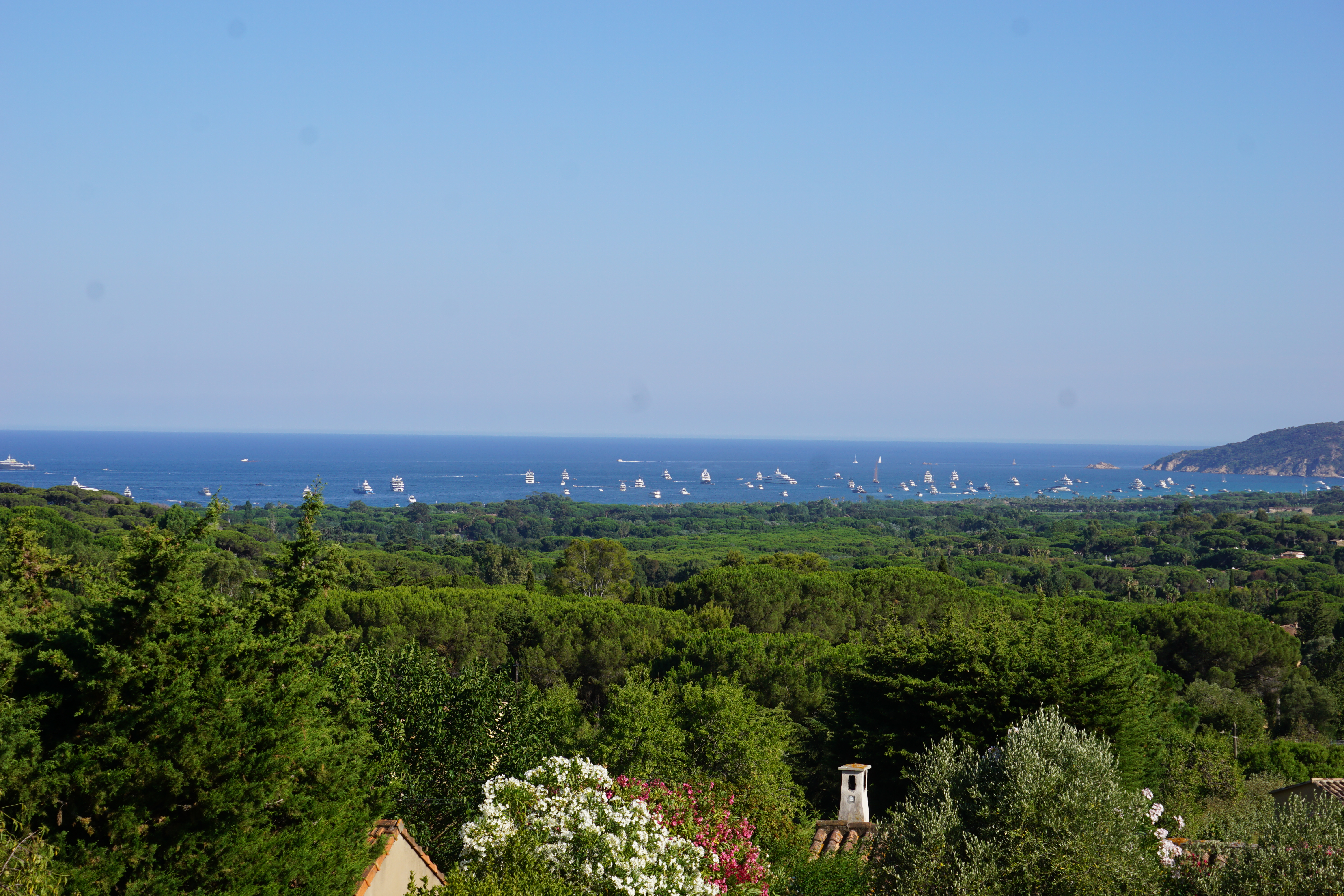 Photo n° 2 de l'avis de N..s fait le 05/08/2019 à 11:31