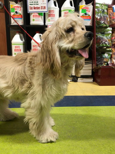 Pet Store «All Pets Club», reviews and photos, 1167 N Colony Rd, Wallingford, CT 06492, USA