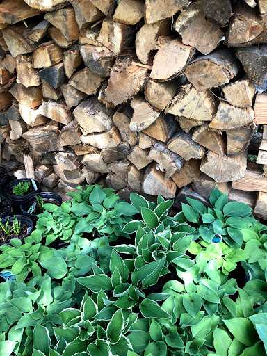 Garden Center «Stonewall Garden Center», reviews and photos, 4675 PA-447, Canadensis, PA 18325, USA